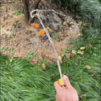 Gentle Mist Hose Nozzle for Healthier Plants and Easier Daily Watering 🌿